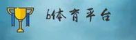 使用指南与常见问题